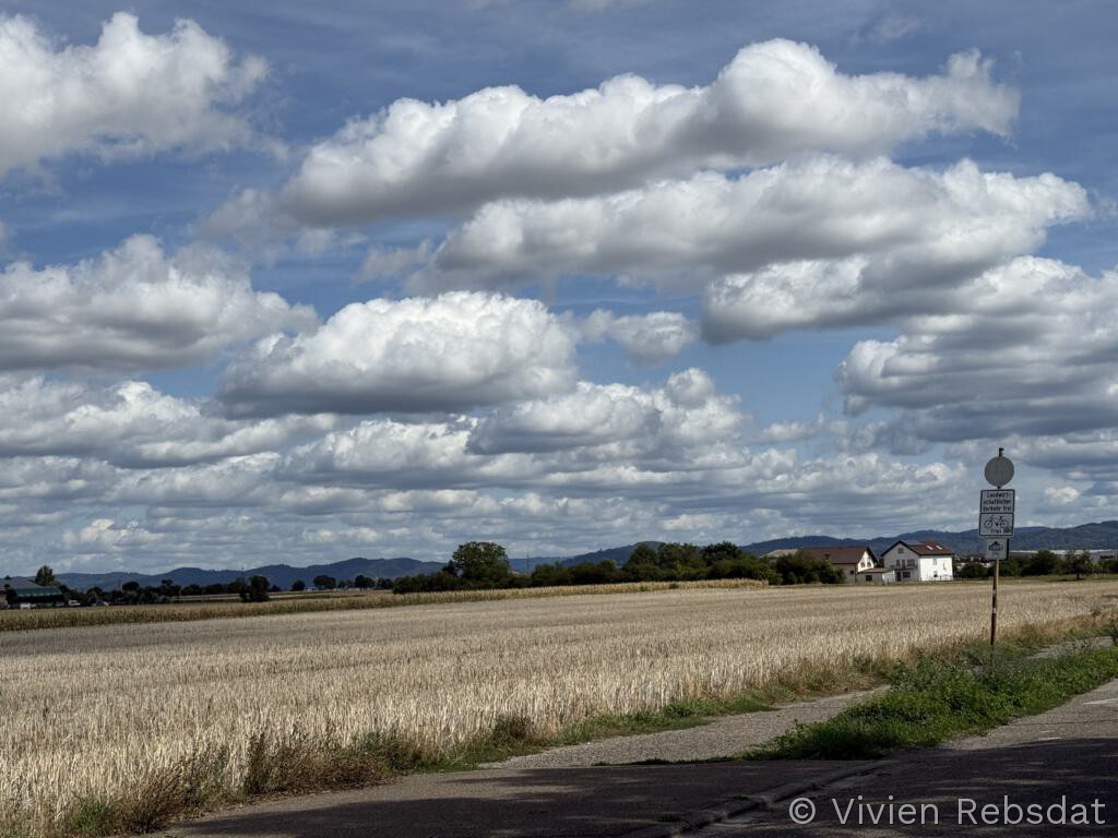 Himmel mit zahlreichen kleinen Wolken über einem Feld