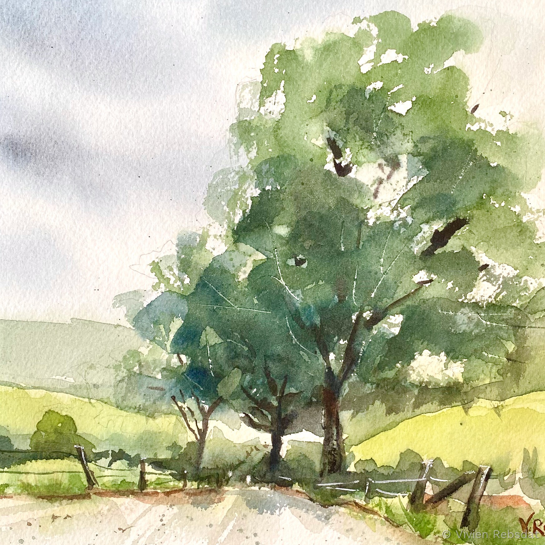 Baum am Feld, in Aquarell